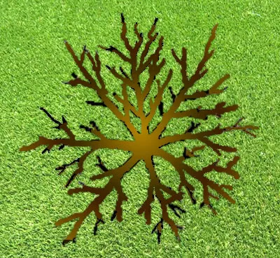 An Overview of an unpruned winter Apple Tree